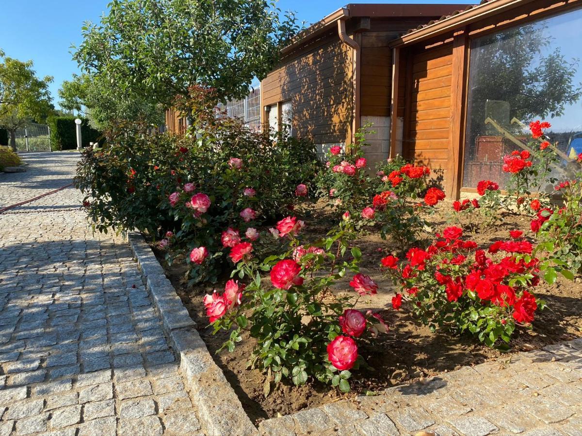Gites Des Sablons Chatillon-sur-Marne ภายนอก รูปภาพ