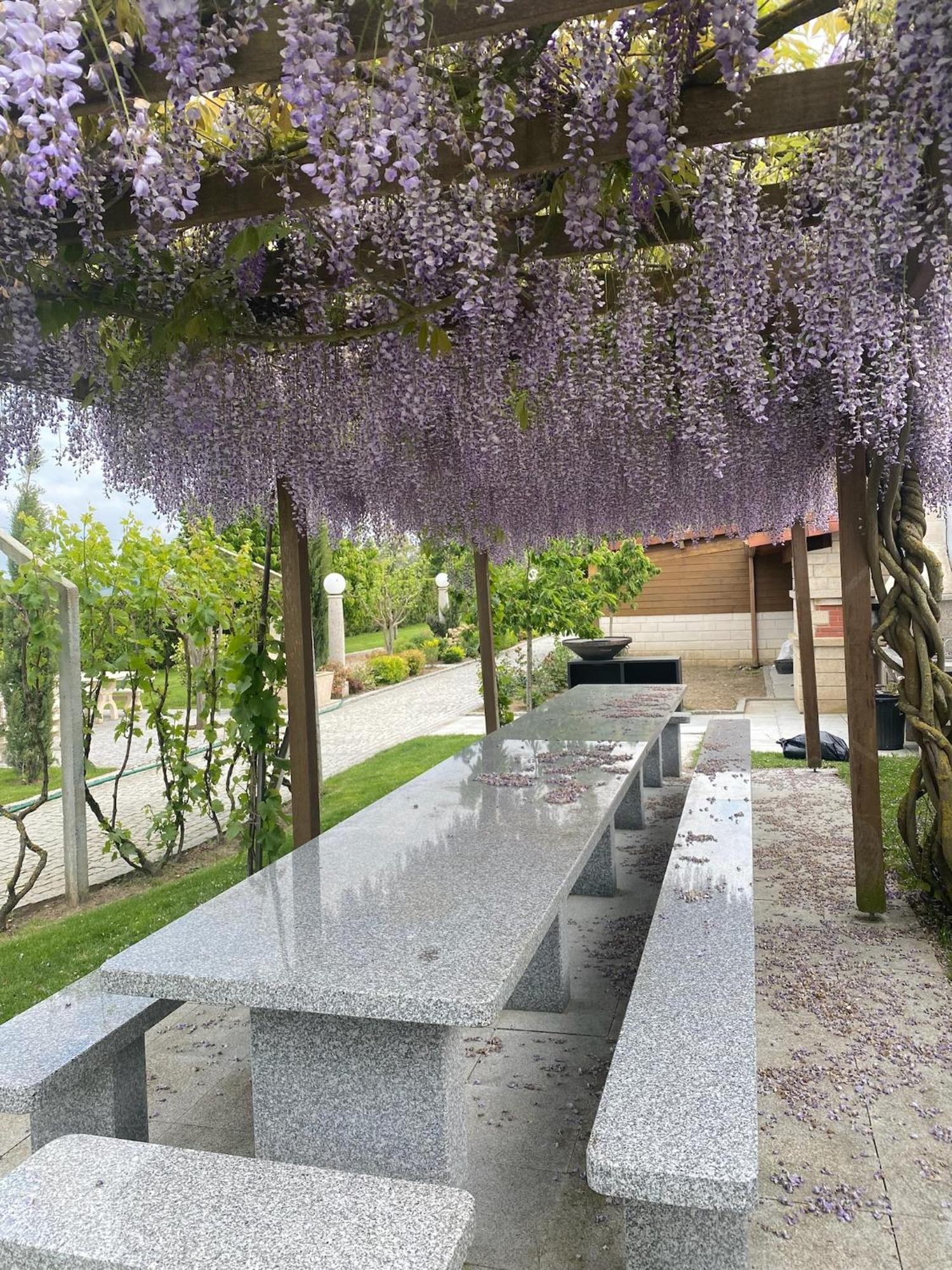 Gites Des Sablons Chatillon-sur-Marne ภายนอก รูปภาพ